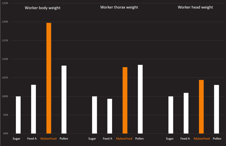Uhranjene, zdrave pčele
